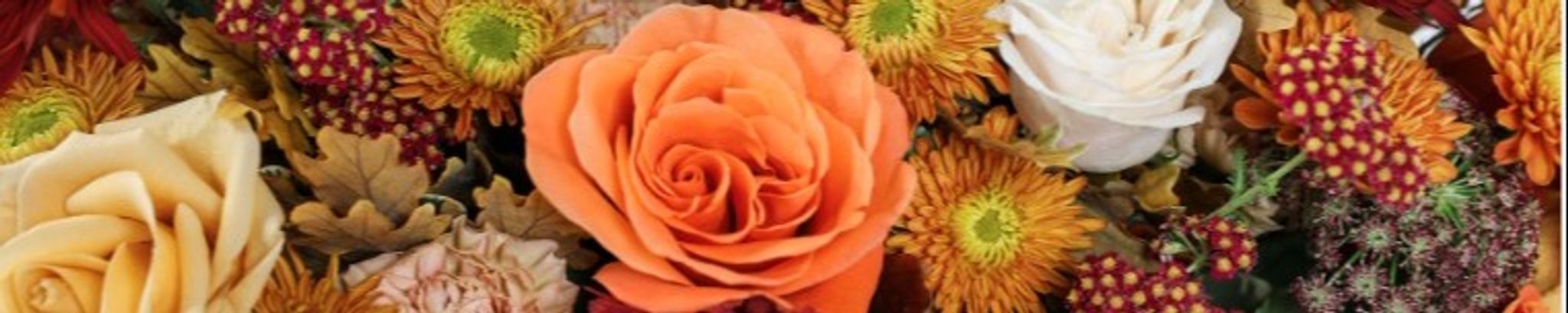Cover photo for Saundra Grayson's Obituary