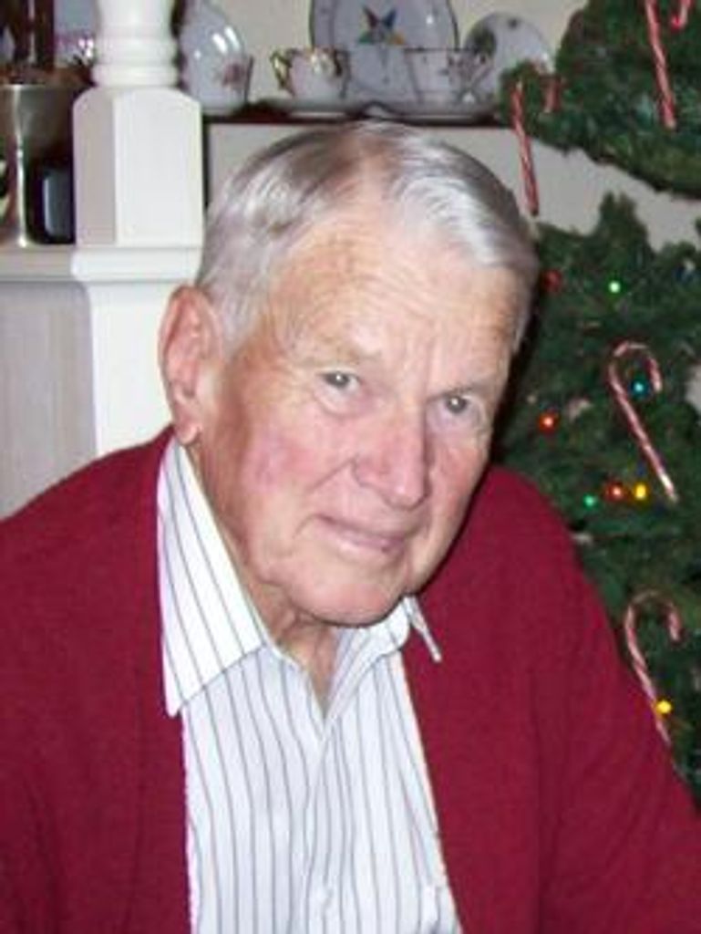 David Niesley Hutchison Profile Photo