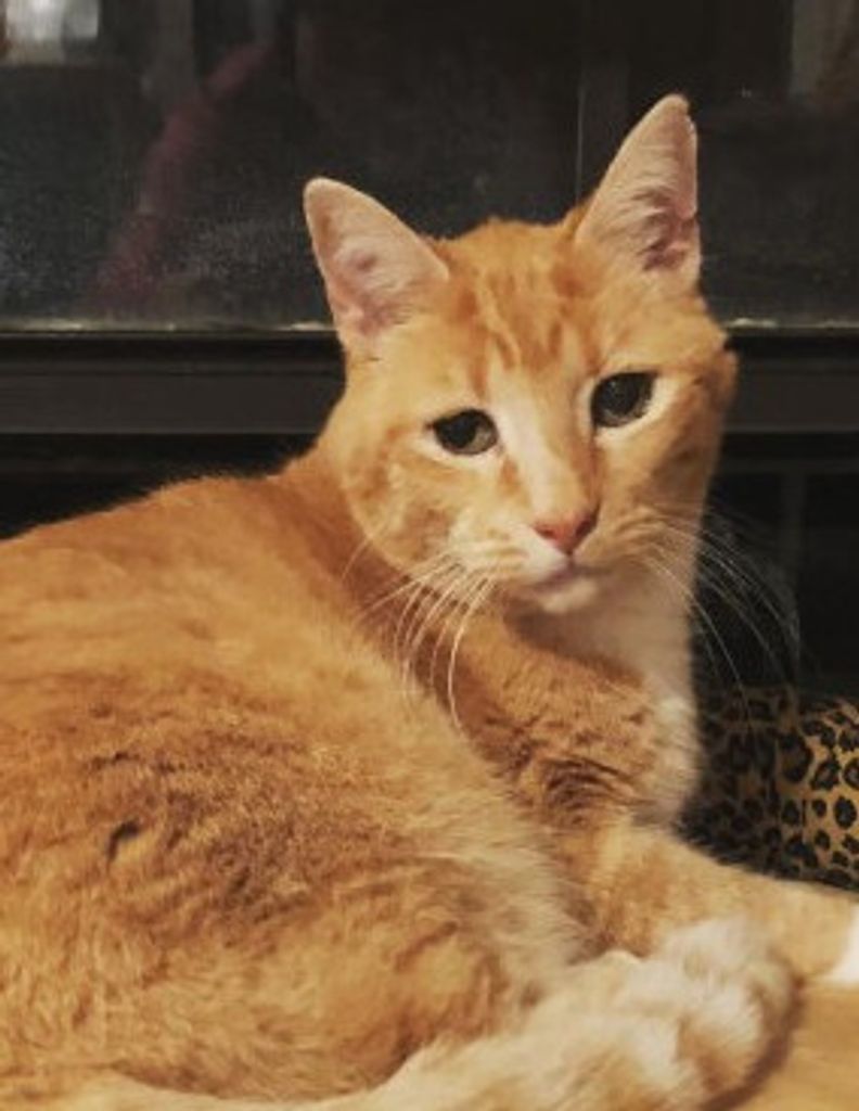 Buttercup (Buddy) West Profile Photo