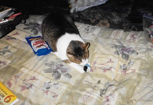 Linda L. Dilling photo gallery thumbnail 48 of 79