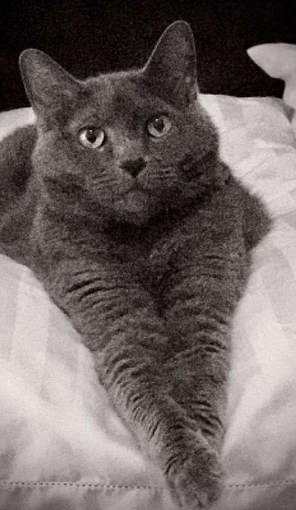 Pepper Kniffin