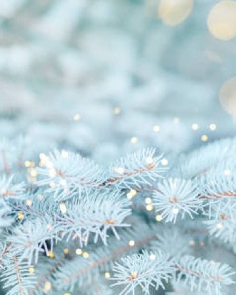 Shirley Banks Johnson Profile Photo