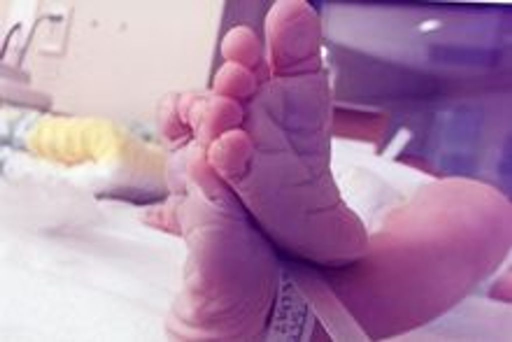 Julian Stanley Profile Photo