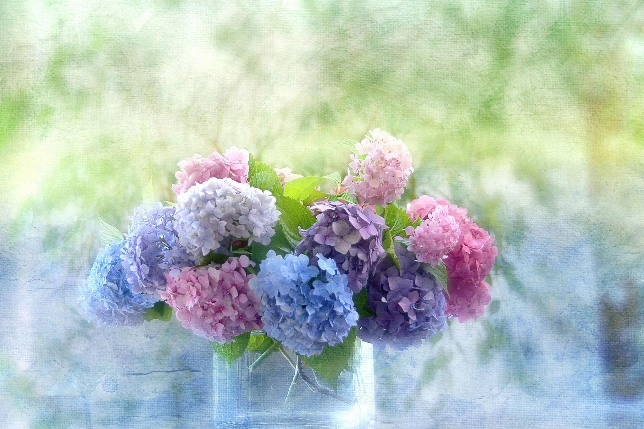 Cover for Phyllis D. Beard's Obituary