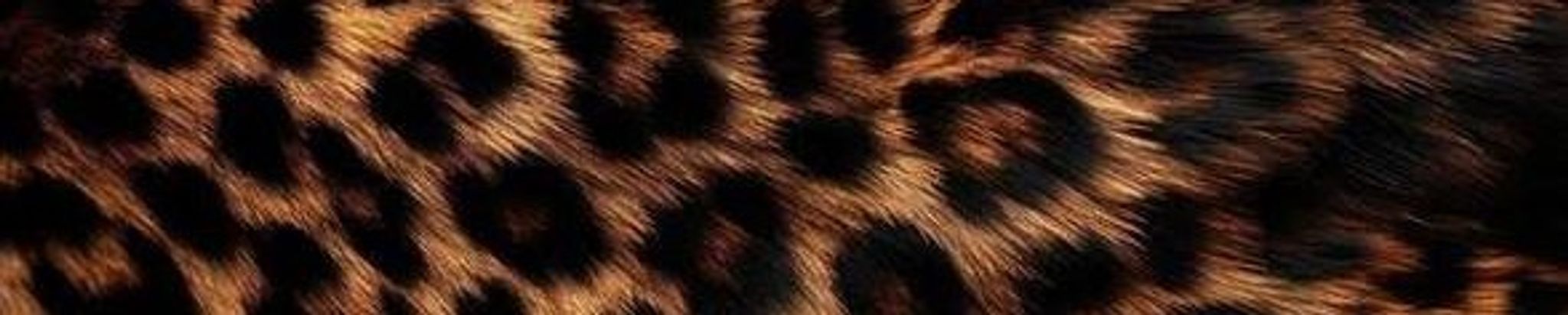 Cover for Barbara McCain's Obituary