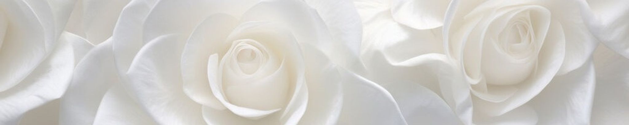 Cover photo for Barbara Gayle (Finley) Gardner's Obituary