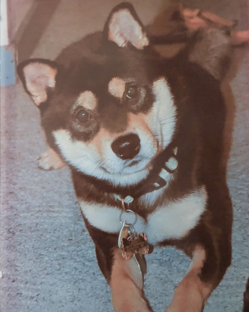 Hiro Schrom Profile Photo