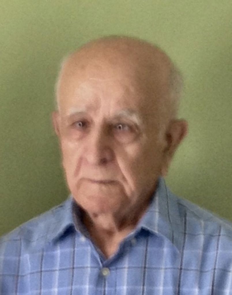 Dimitrios S Tsiamis