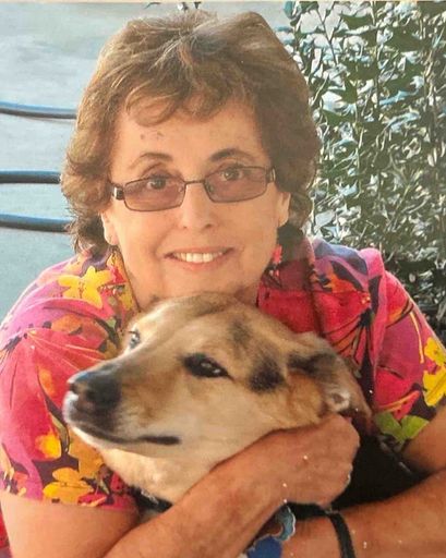 Lori Stein Profile Photo