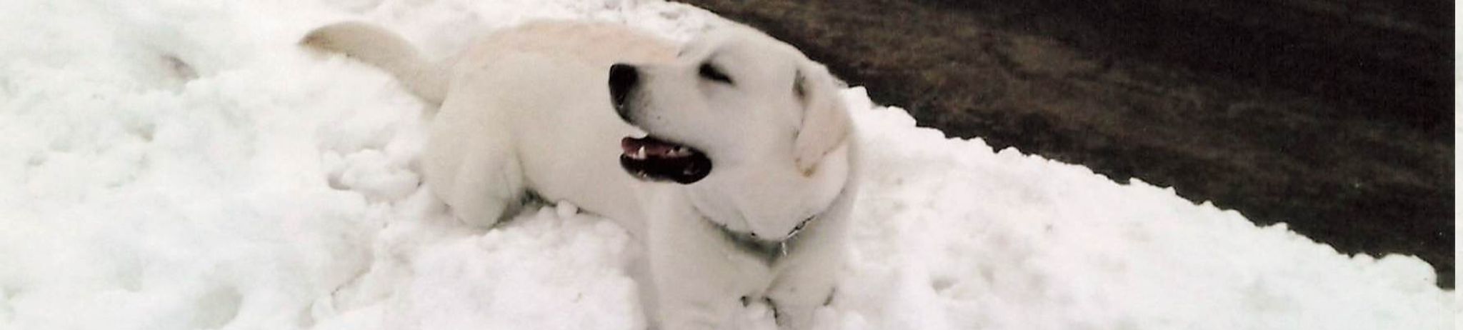 Cover photo for Timothy "Tippy" Abrams's Obituary