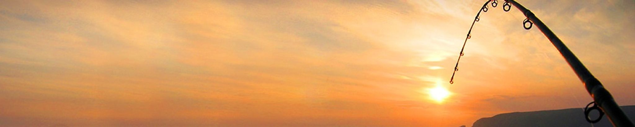 Cover photo for Judy Douglas's Obituary