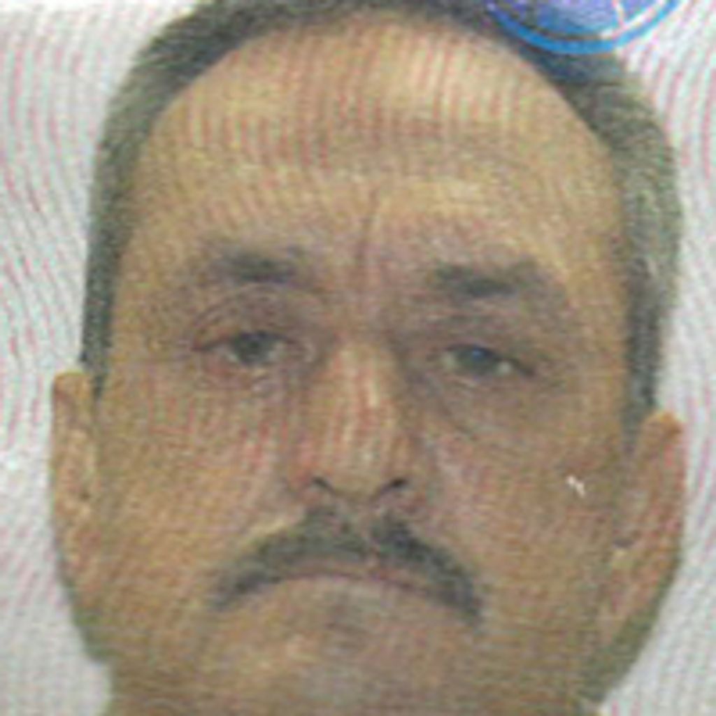 Amador Gonzalez Flores