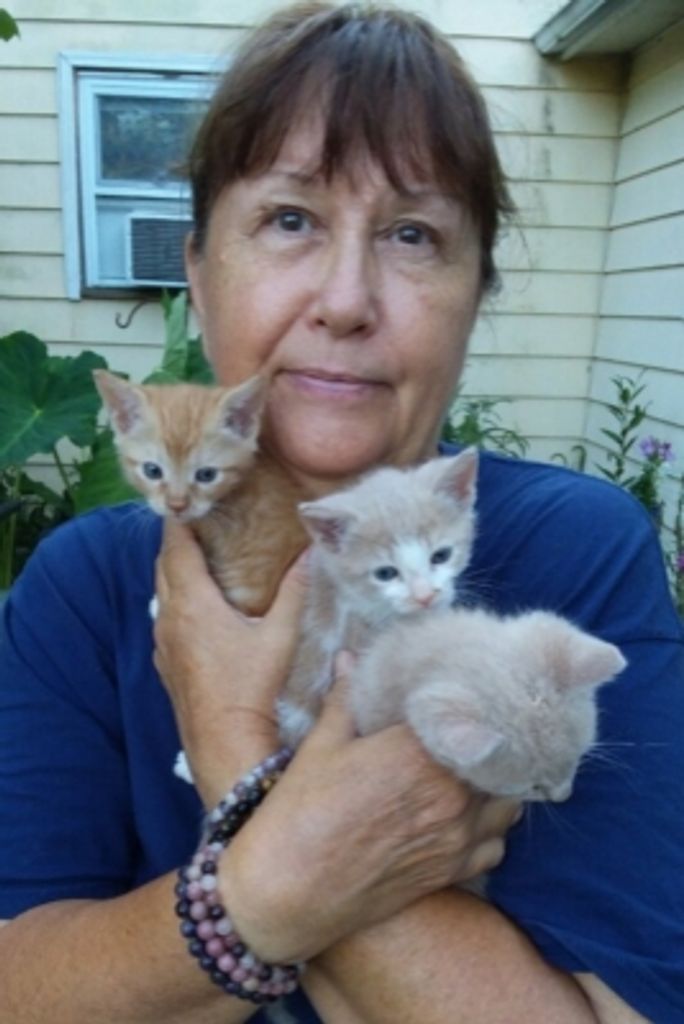 Lori Z. Brandl Profile Photo