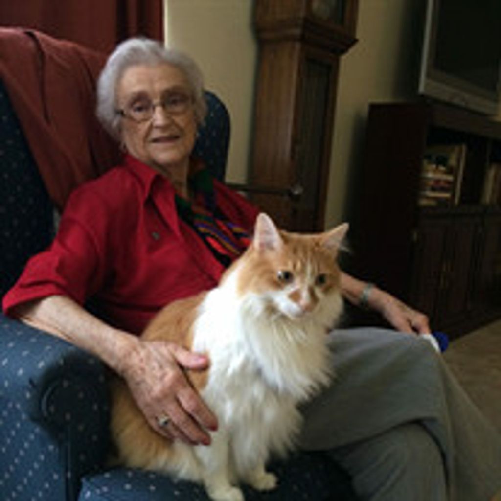 Martha Ann Abbott Mcnatt