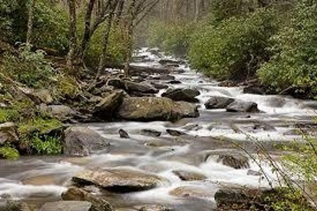 James A. "Jim" Barger Profile Photo