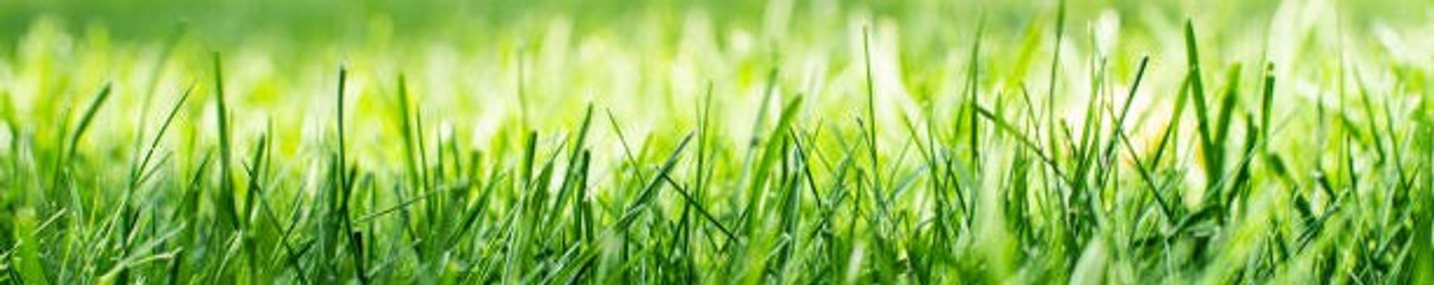 Cover for Dan J. Crawford's Obituary