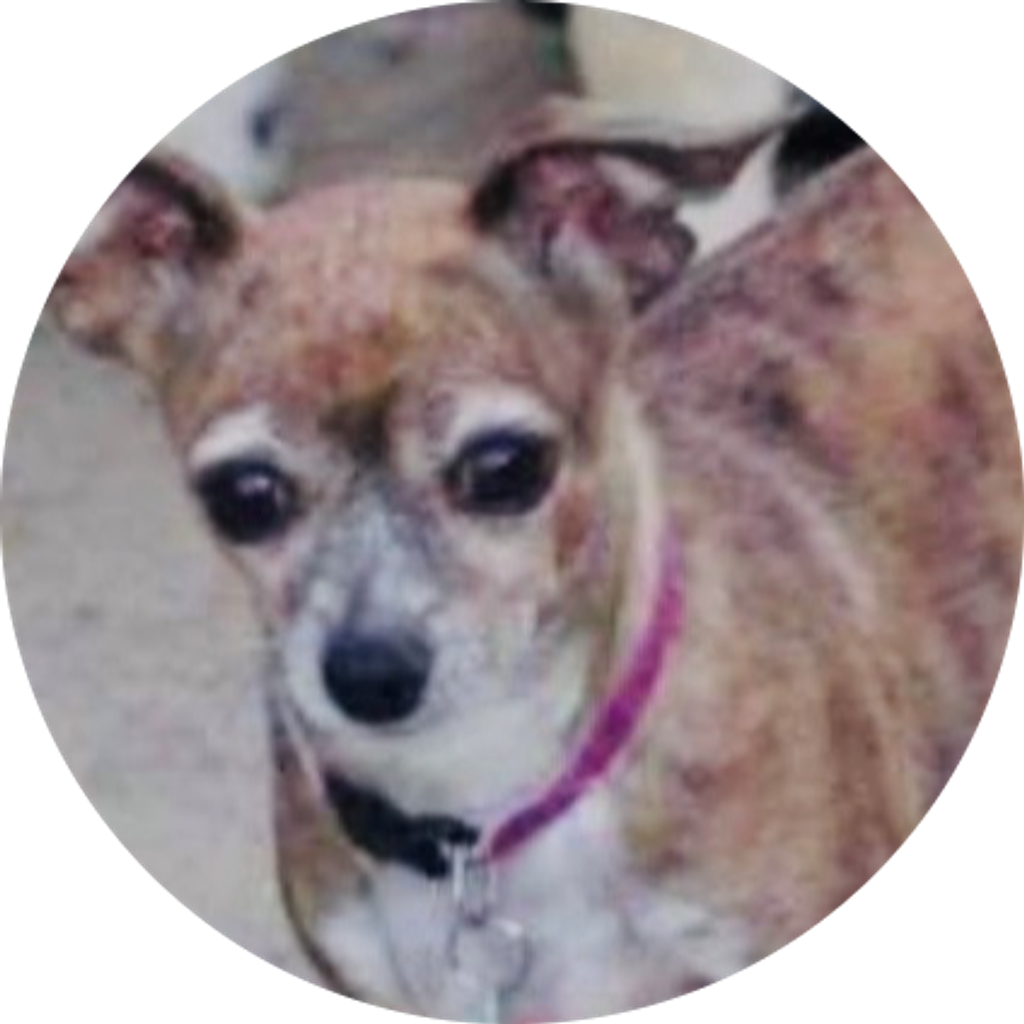 Buttons Albo Profile Photo
