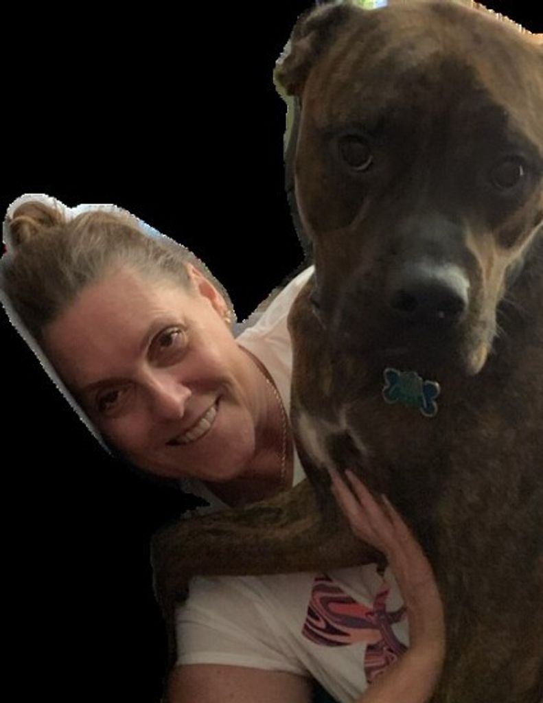 Donna Ann (Domagalski)  Schlueter