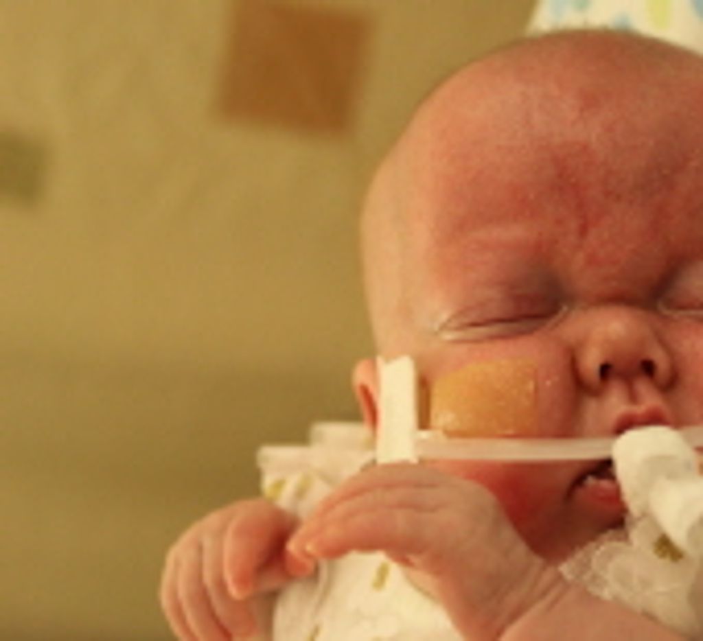 Genesis Hope Vanden Brink
