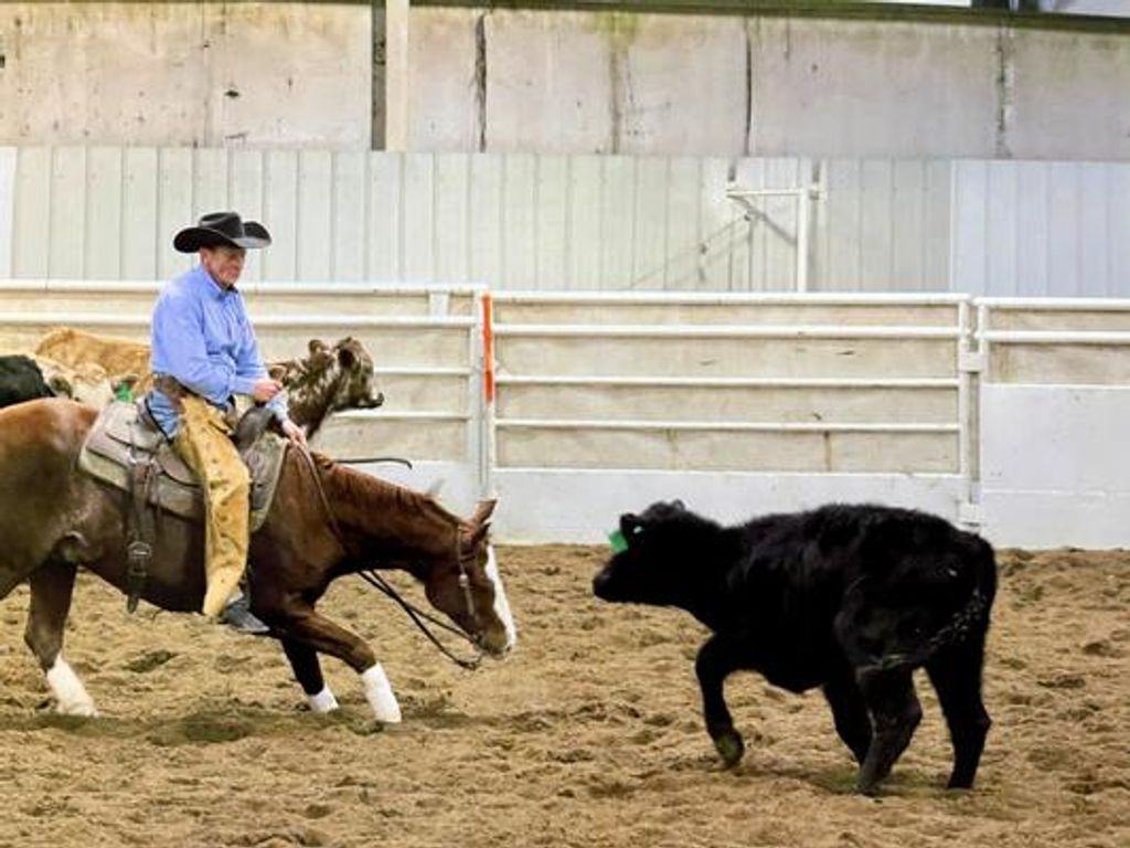 Dennis E. Bolin Profile Photo