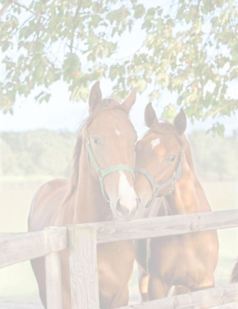 Lisa Gail Burgess-Poston Profile Photo