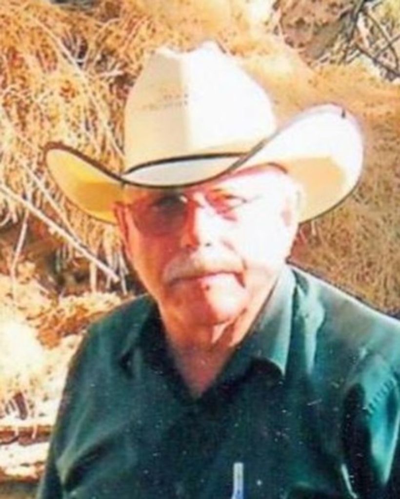 Gordon Young Profile Photo