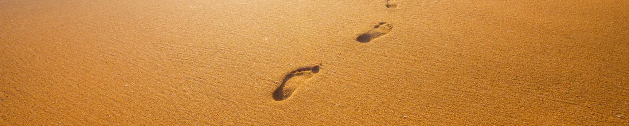 Cover for Domingo Delgadillo Torres's Obituary