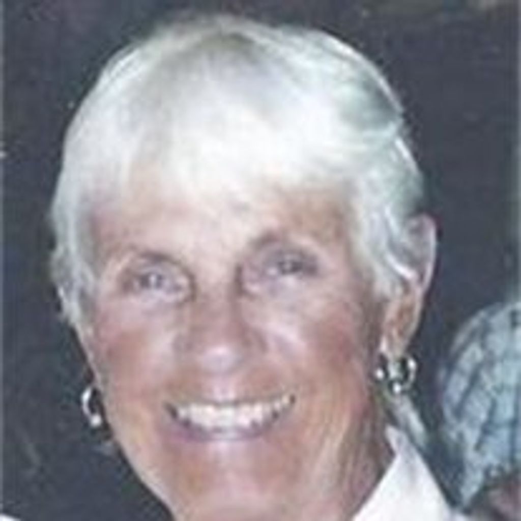 Theresa H. Fichtel