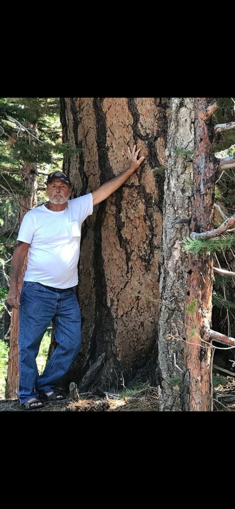 Davy "Dave" Michael Canter