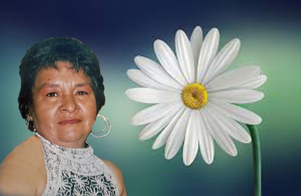 Maria D. Ibarra Profile Photo