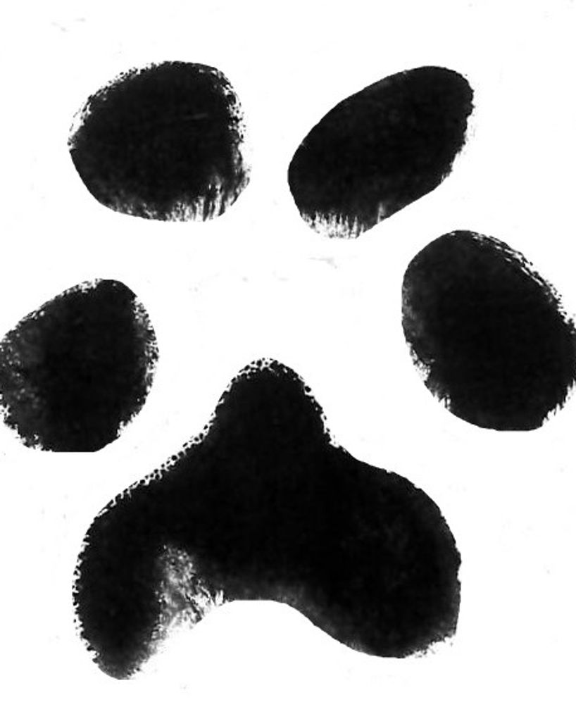 Gus Garrett Profile Photo