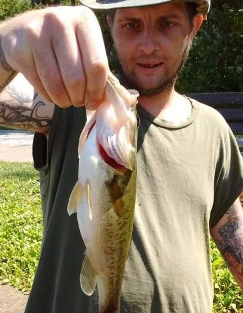 Michael Rogachesky