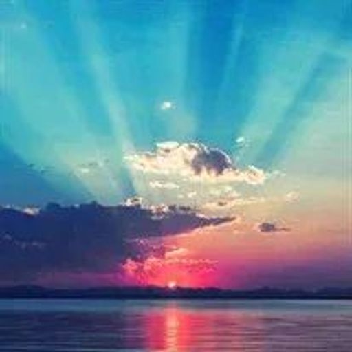 Gloria Scott Profile Photo