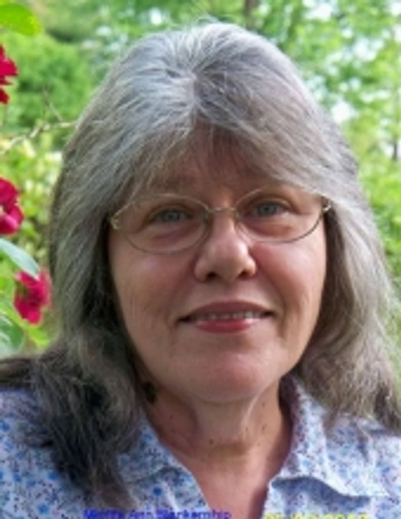 Meritta Ann Blankenship Profile Photo