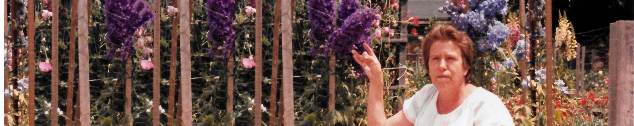 Cover photo for Felipa Rodriguez's Obituary