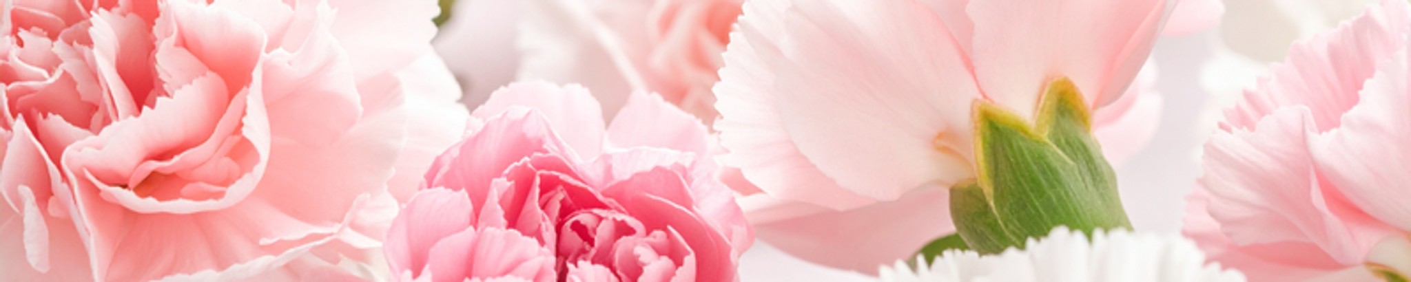 Cover for Peggy Jean Garmon's Obituary