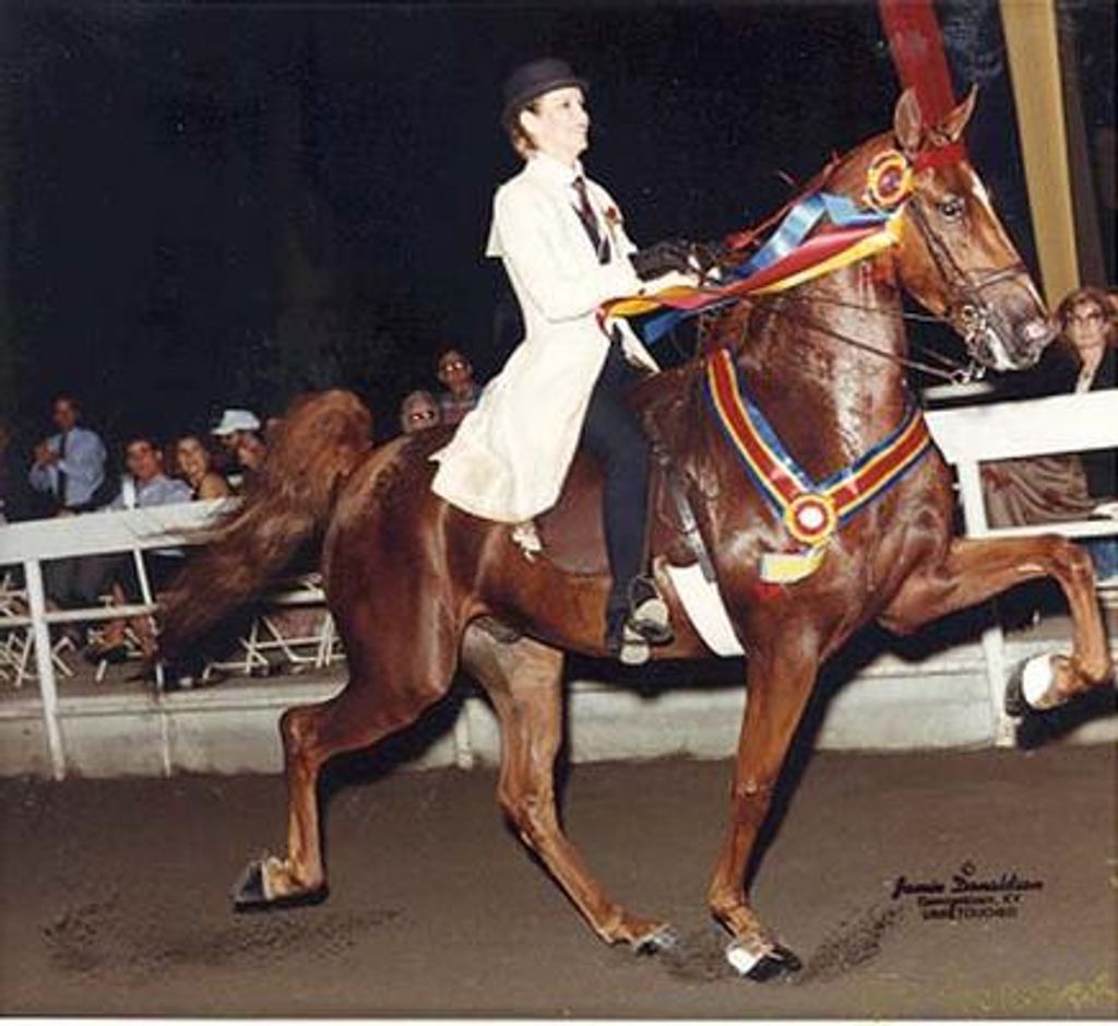 Delores Brady Crosby Profile Photo