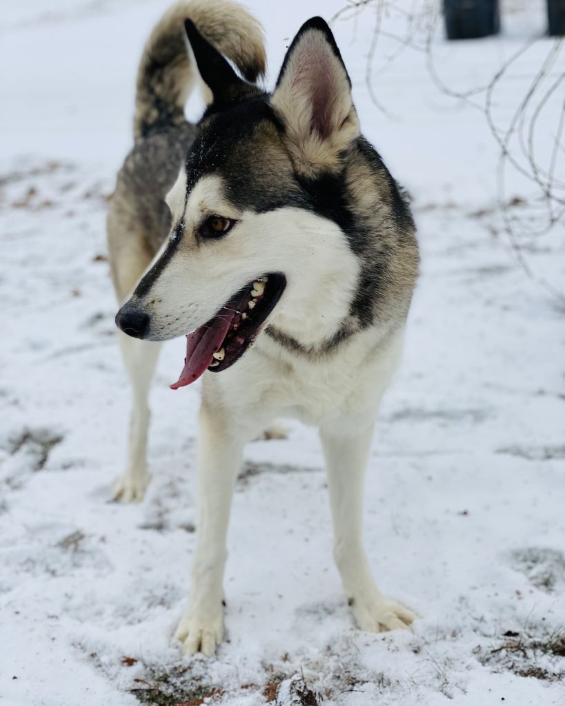 Ghost Griffis Profile Photo