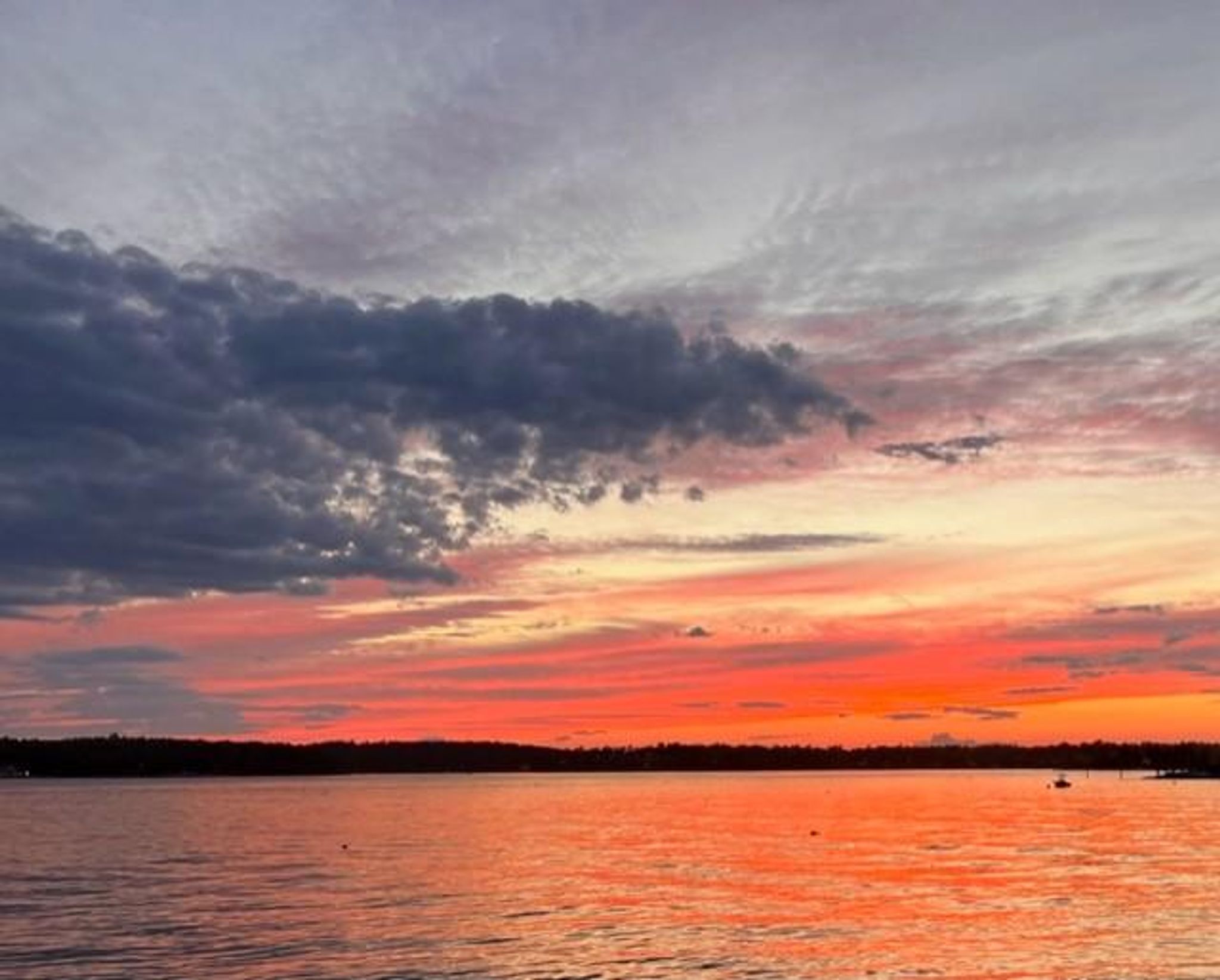 Cover for Cynthia Sue De Goa's Obituary