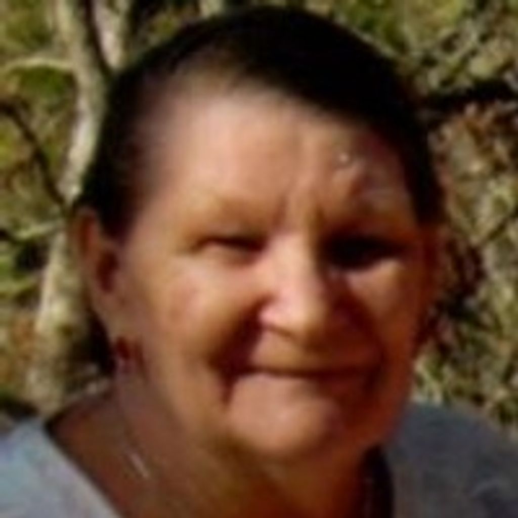 Karen  P. Stout