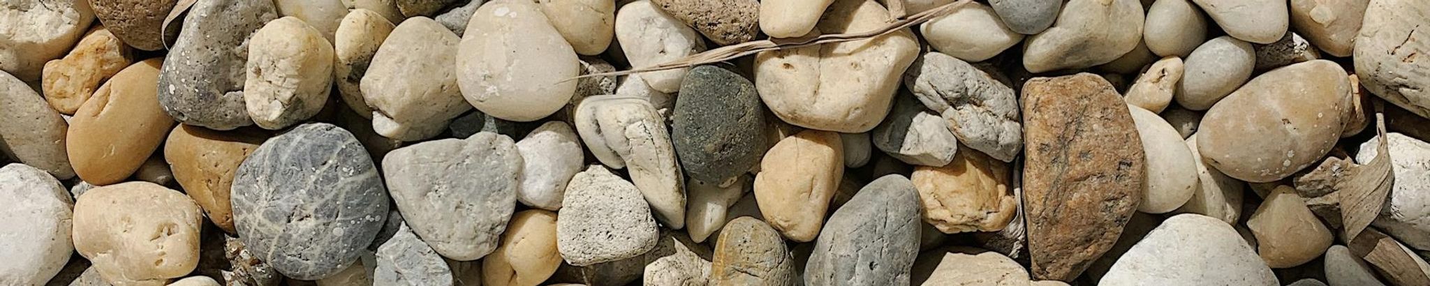 Cover for Kathleen Ann (Quealy)  Fink's Obituary