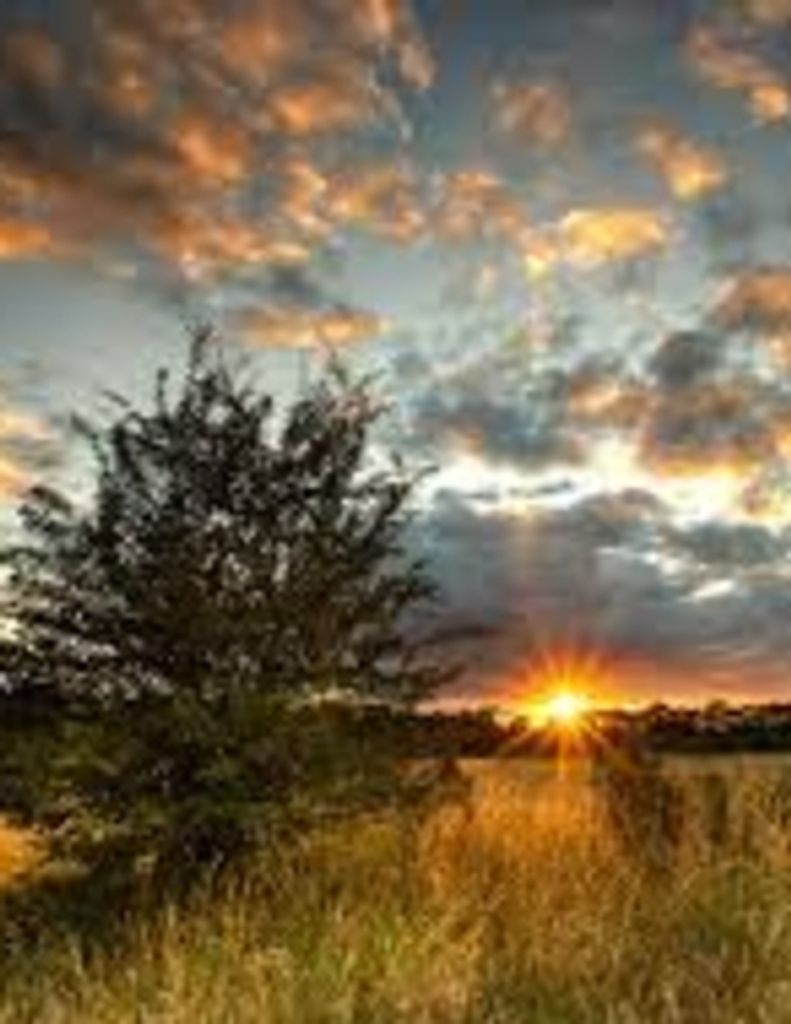 William Patrick Geiger