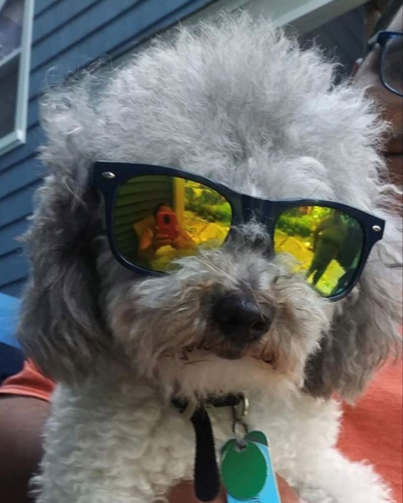 Tucker Alamo Profile Photo