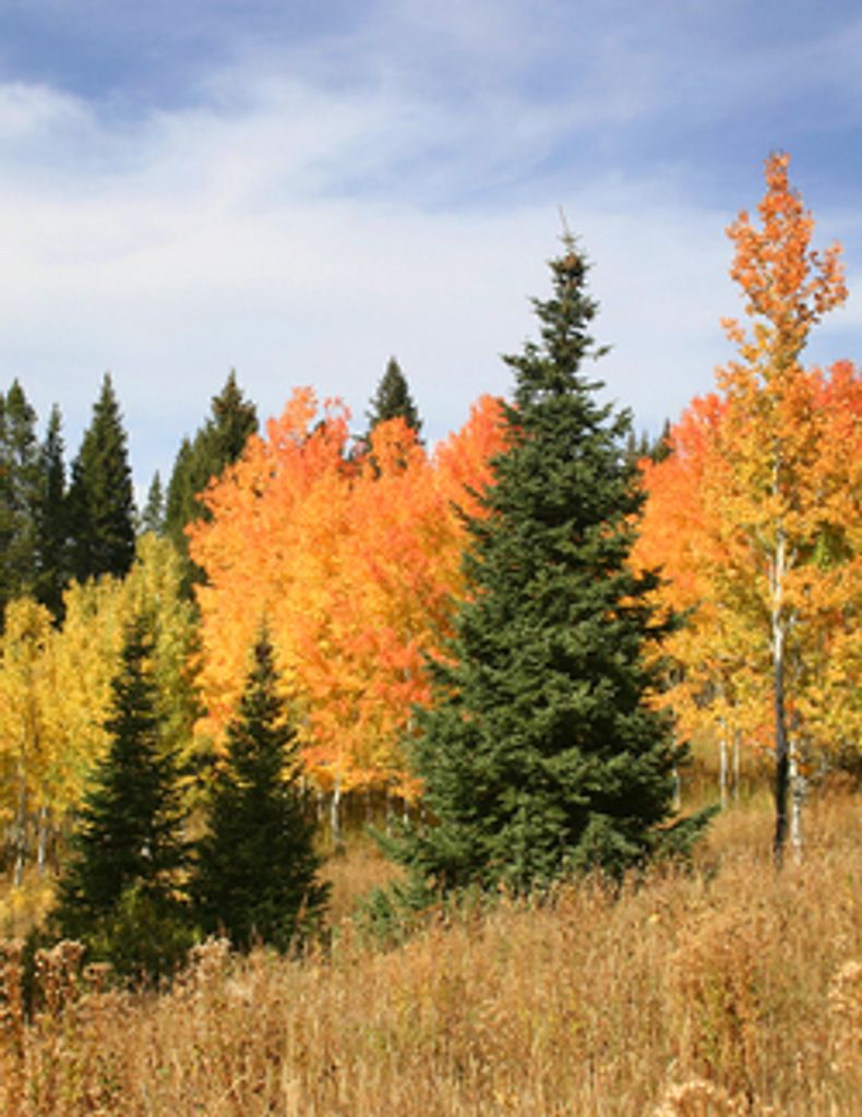 Richard "Rick" Gregg