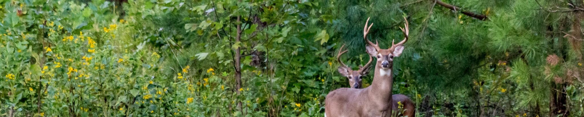 Cover photo for Russell Wayne Balderson's Obituary