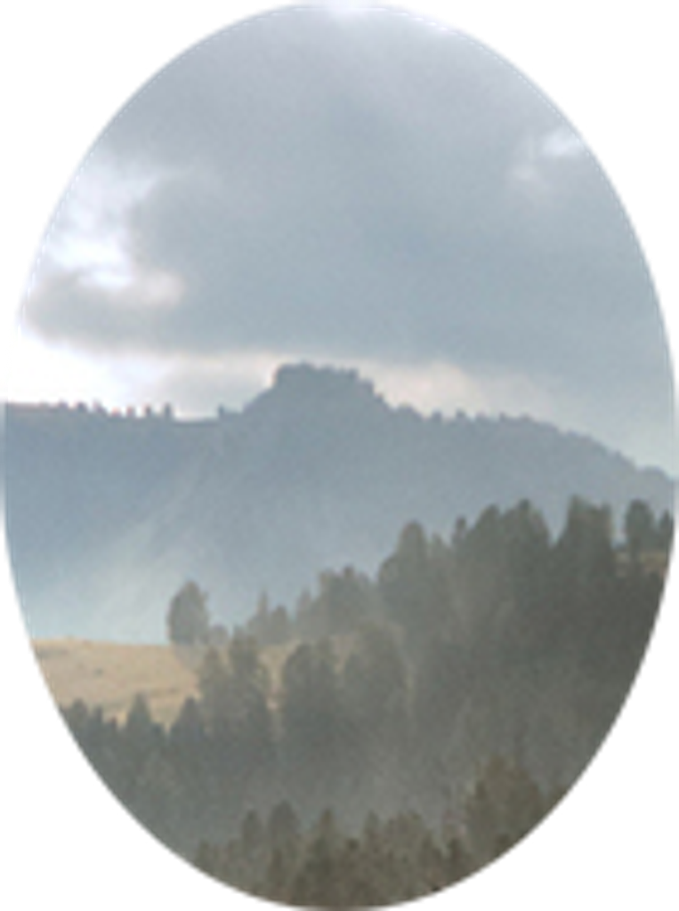 David Knott Profile Photo