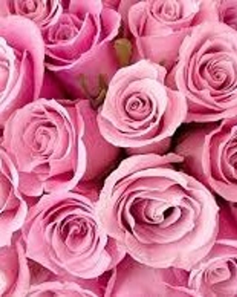 Judy Ruth Sage McClelland