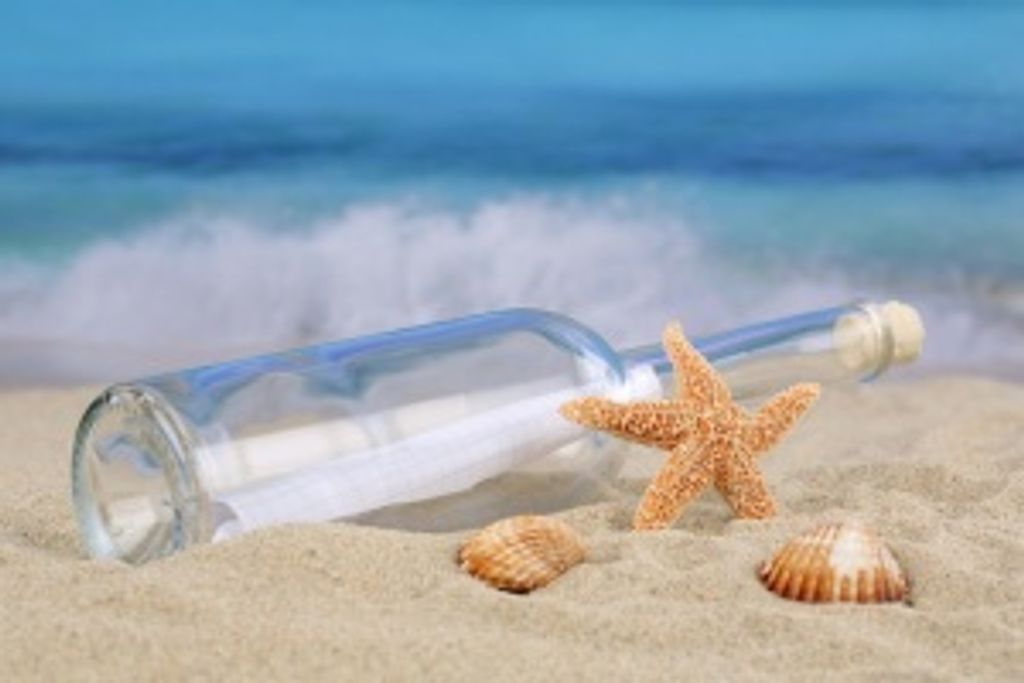 David Jordan Rautenberg Profile Photo