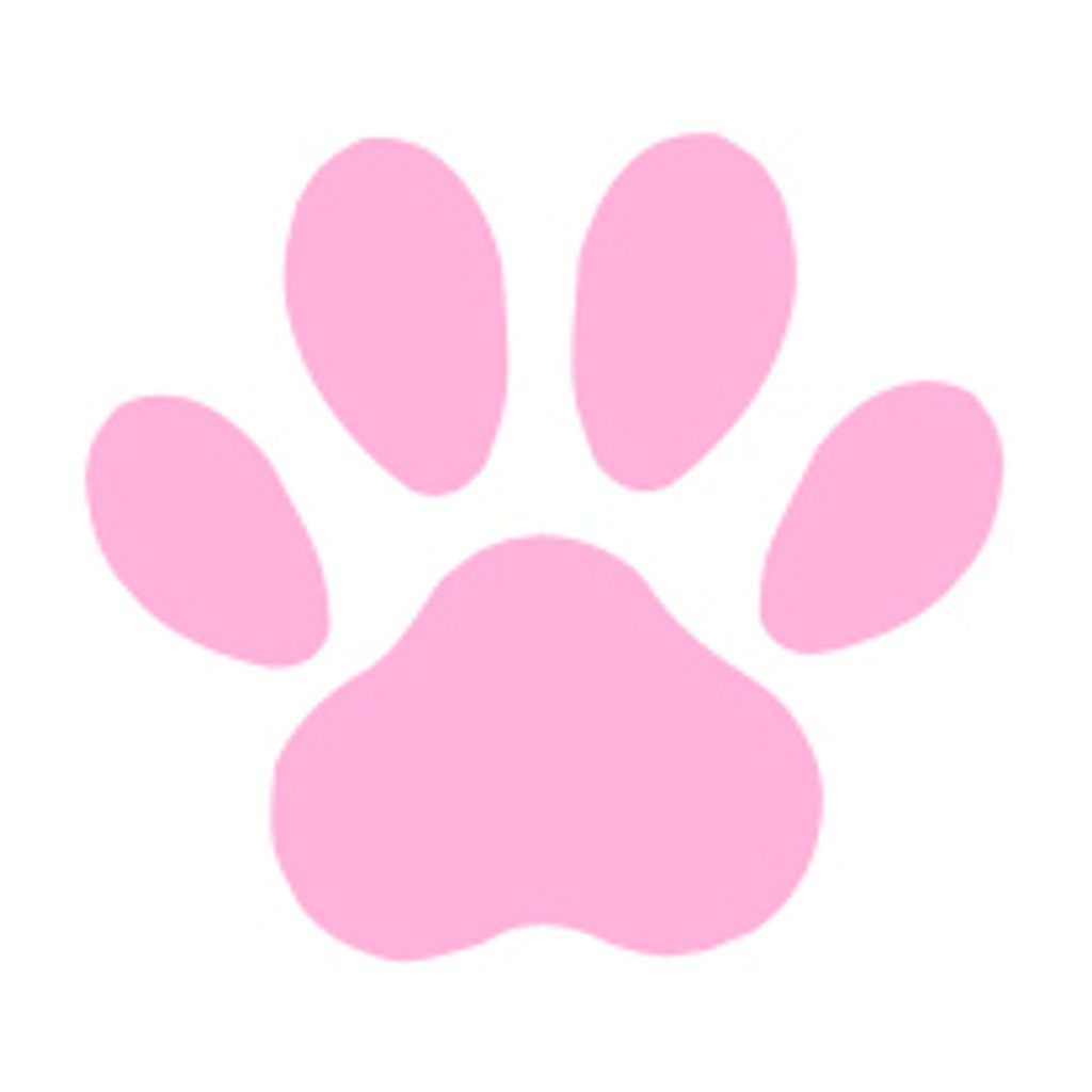 Sashya Profile Photo