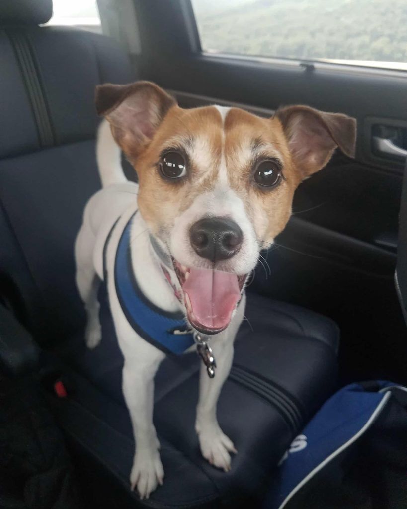 Gus Burrito Smithson